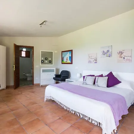 With Pool And Sea Views In Banana Plantation By Canaryscape Villa *