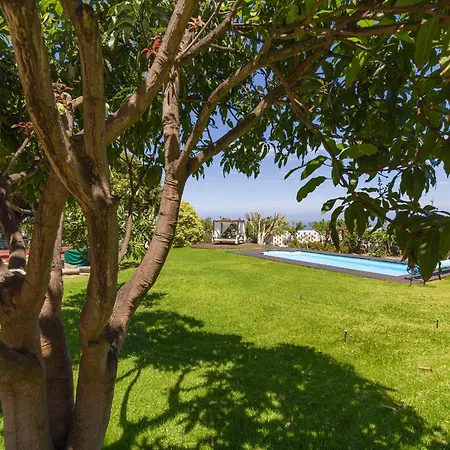 With Pool And Sea Views In Banana Plantation By Canaryscape * Arucas