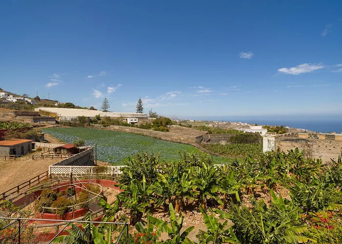 Villa With Pool And Sea Views In Banana Plantation By Canaryscape *