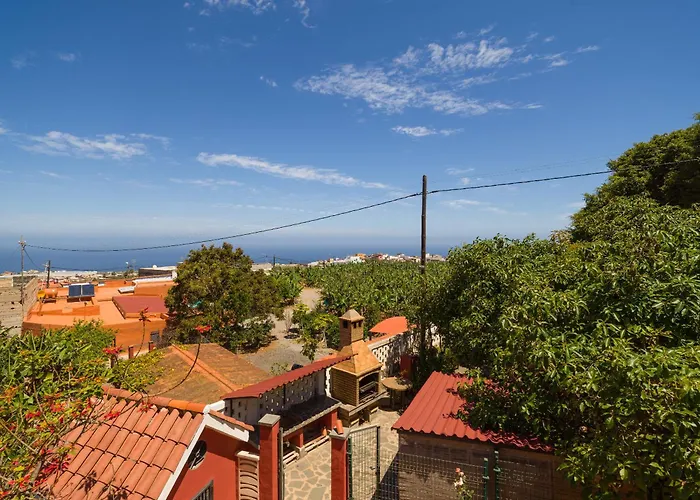 Villa With Pool And Sea Views In Banana Plantation By Canaryscape Arucas