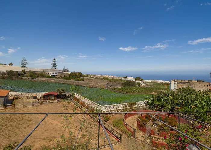 With Pool And Sea Views In Banana Plantation By Canaryscape Villa Arucas