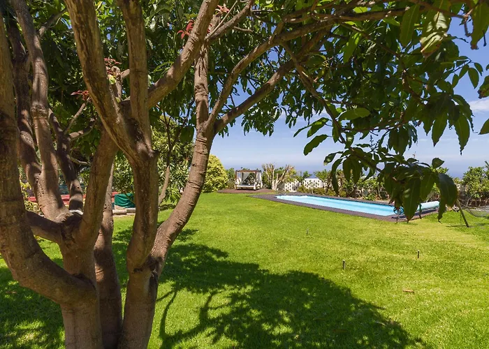 With Pool And Sea Views In Banana Plantation By Canaryscape * Arucas
